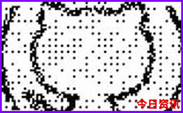 夏天到什么地方旅游